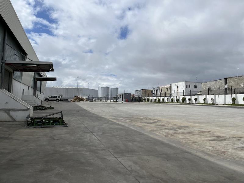 To Let commercial Property for Rent in Montague Gardens Western Cape